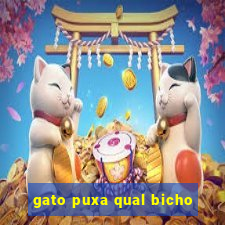 gato puxa qual bicho