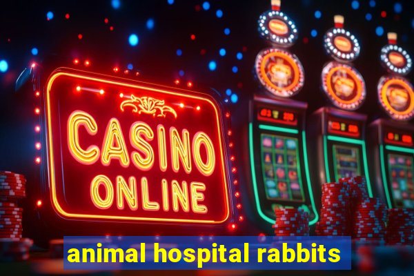 animal hospital rabbits