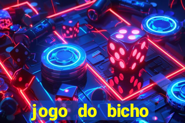 jogo do bicho crash bingo