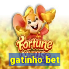 gatinho bet