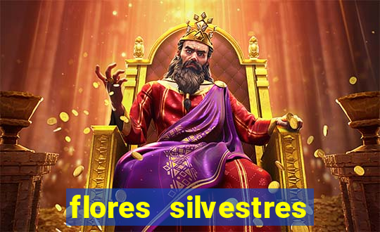 flores silvestres desbravadores desbravadores 25 flores silvestres e seus nomes