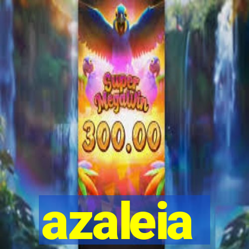 azaleia-br.com