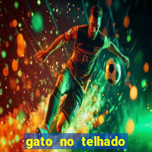 gato no telhado significado espiritual