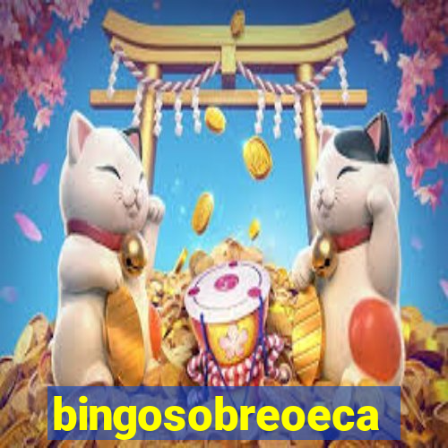 bingosobreoeca