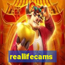 reallifecams