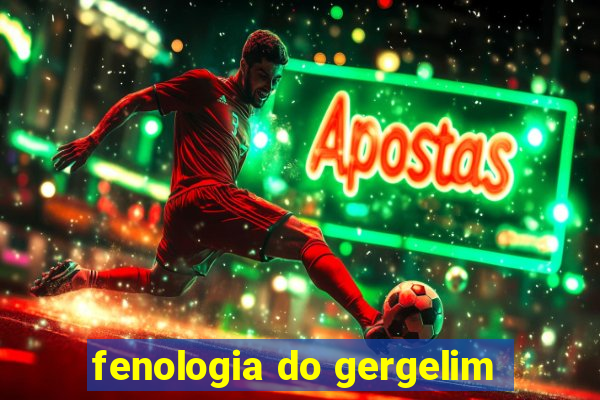 fenologia do gergelim