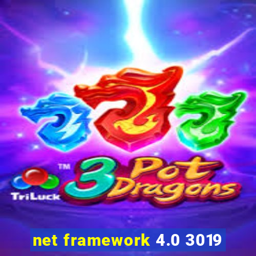 net framework 4.0 3019