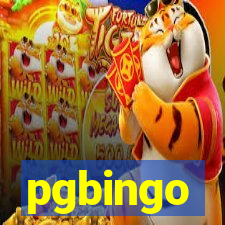 pgbingo